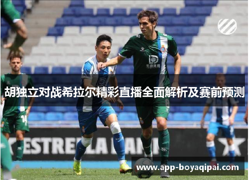胡独立对战希拉尔精彩直播全面解析及赛前预测